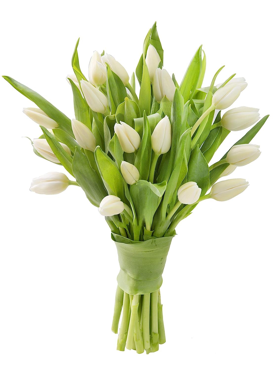 KaBloom-20 White Tulip Bouquet,Flowers for Valentine, Mother's Day