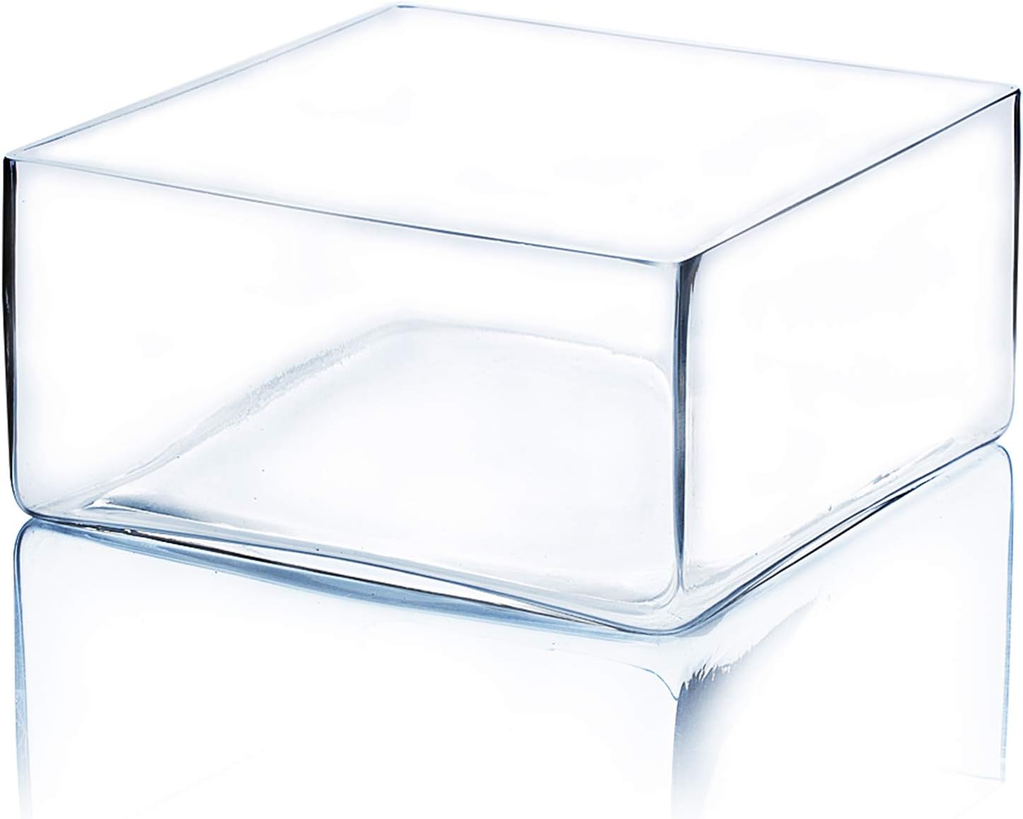 WGV Square Block Glass Vase, Length 8", Height 4", Clear Large Planter Terrarium, Floral Container for Wedding Party Event, Home Office Decor, 1 Piece