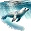 Seal Swim