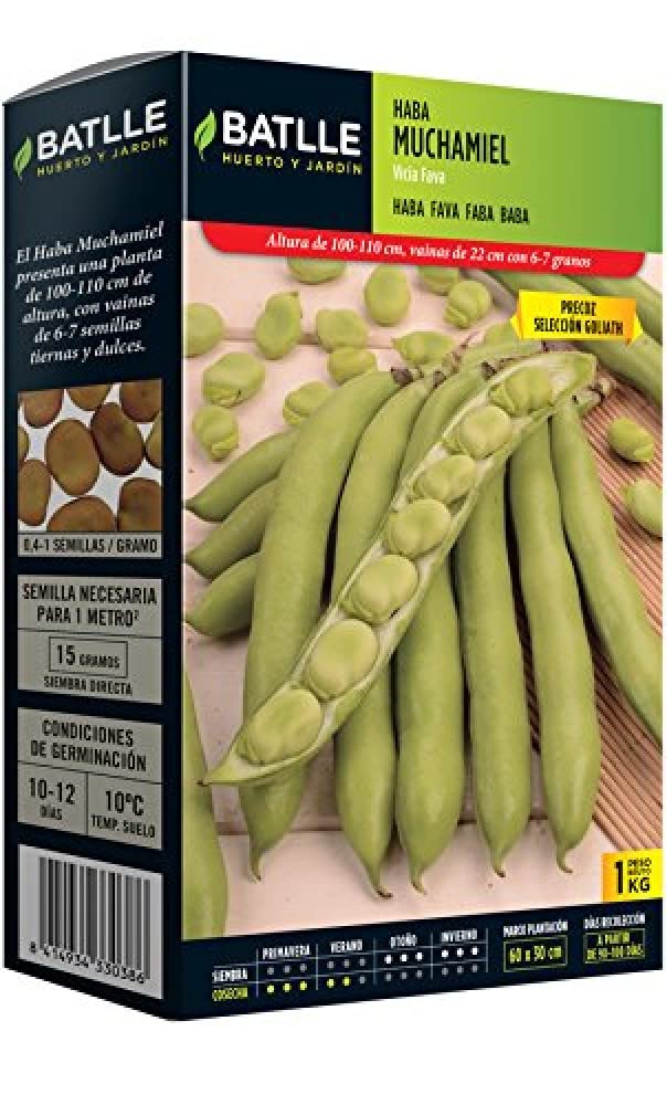 Batlle - Semi di fava