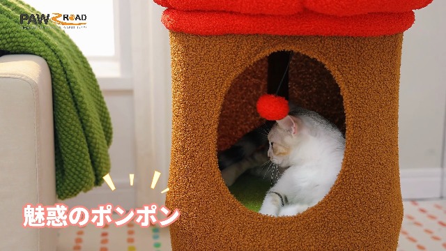 【メルヘン風ハウス型ポスト　わんちゃんハウス、ねこちゃんハウスにもオーダーOK Amazon | PAWZ Road 猫 ハウス ペットハウス 猫ベッド 屋根付き