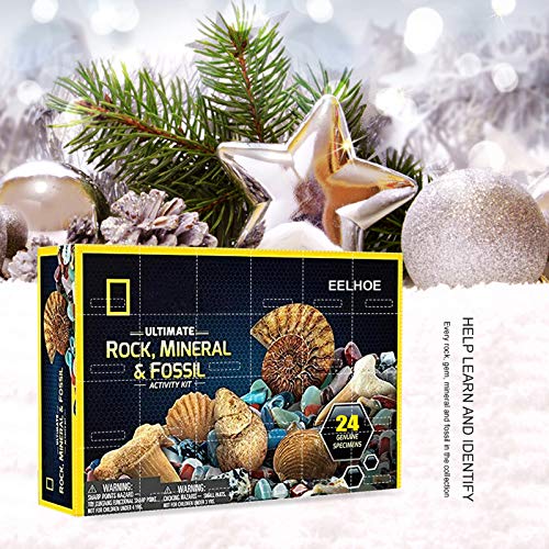 OLOPE Rocks & Fossils Kit, Earth Science Kit, Rock & Mineral Collection Activity Kit, 24 Piece Rocks Collection 2020 Count Down Advent Calendar, Educational Toys for Kids (Multicolor)