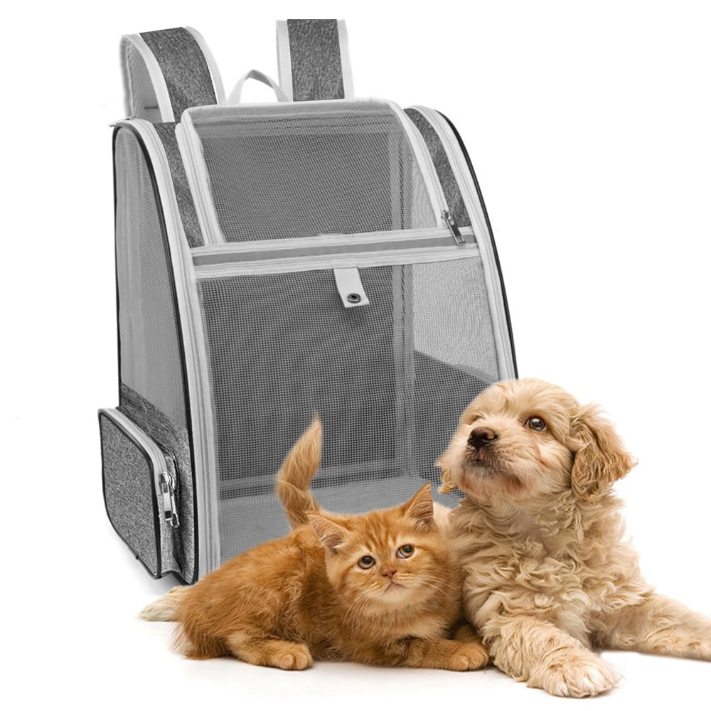 Mochila para Gatos y Perros, Transportin Mochila Gato <6,5kg, Mochila de Transporte para Gatos con 1 Almohadilla y Ventana de Malla, Mochila de Paseo Gatos Transpirable, Portátil y Plegable