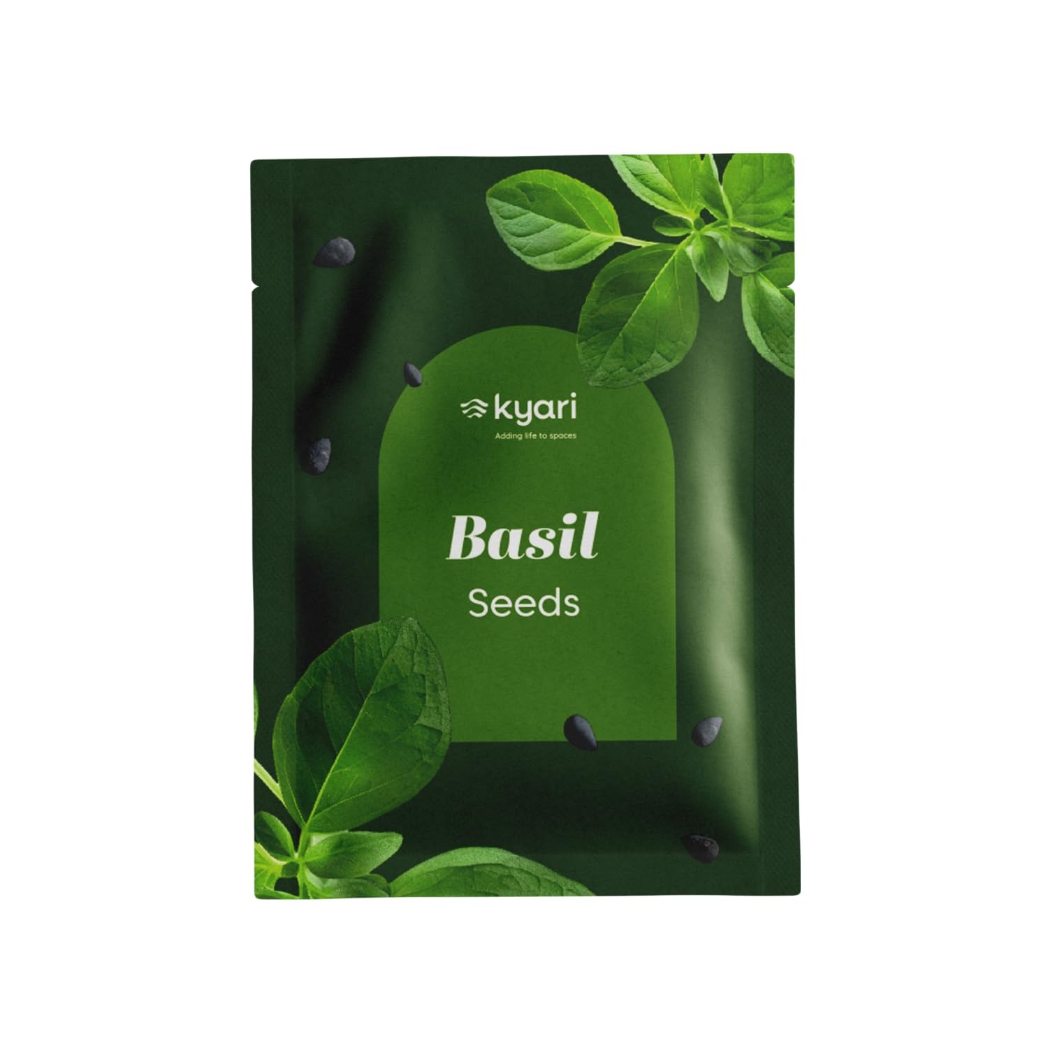 Kyari Tulsi Seeds - Holy Basil Herb Seeds -8