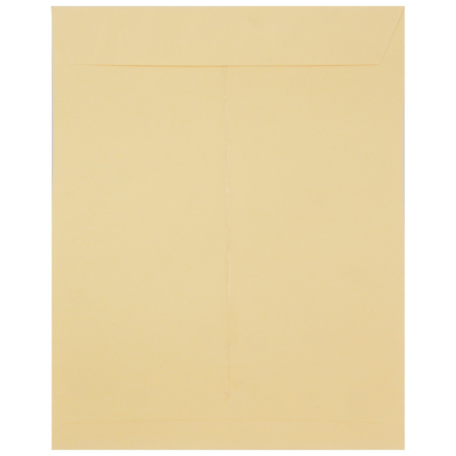 Maneesh Envelopes Clothline 10 Inch * 12 Inch (A4 Size) (Pack Of 50