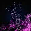 Product Photo 8