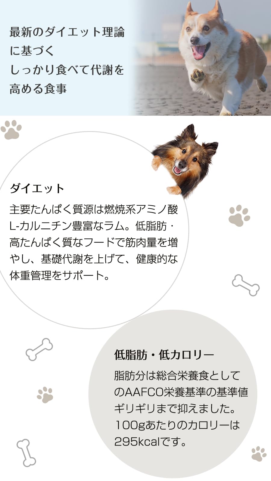 NATURAL Harvest ダイエット 1.1kgラム・チキンセット Amazon.co.jp: ナチュラルハーベスト レジーム スモール ラム