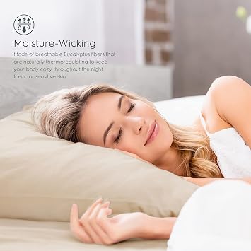 Tafts Eucalyptus Sheets Queen Size Bed Sheets - 100% Organic Eucalyptus, 400TC Eucalyptus Bed Sheets, 4 Piece Set, 17 Deep Pockets, Silk Feel, Cooling, Double Stitched (Nude Beige)