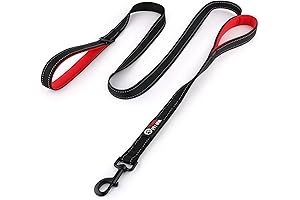 Dog Leash 6ft Long for Large Dogs