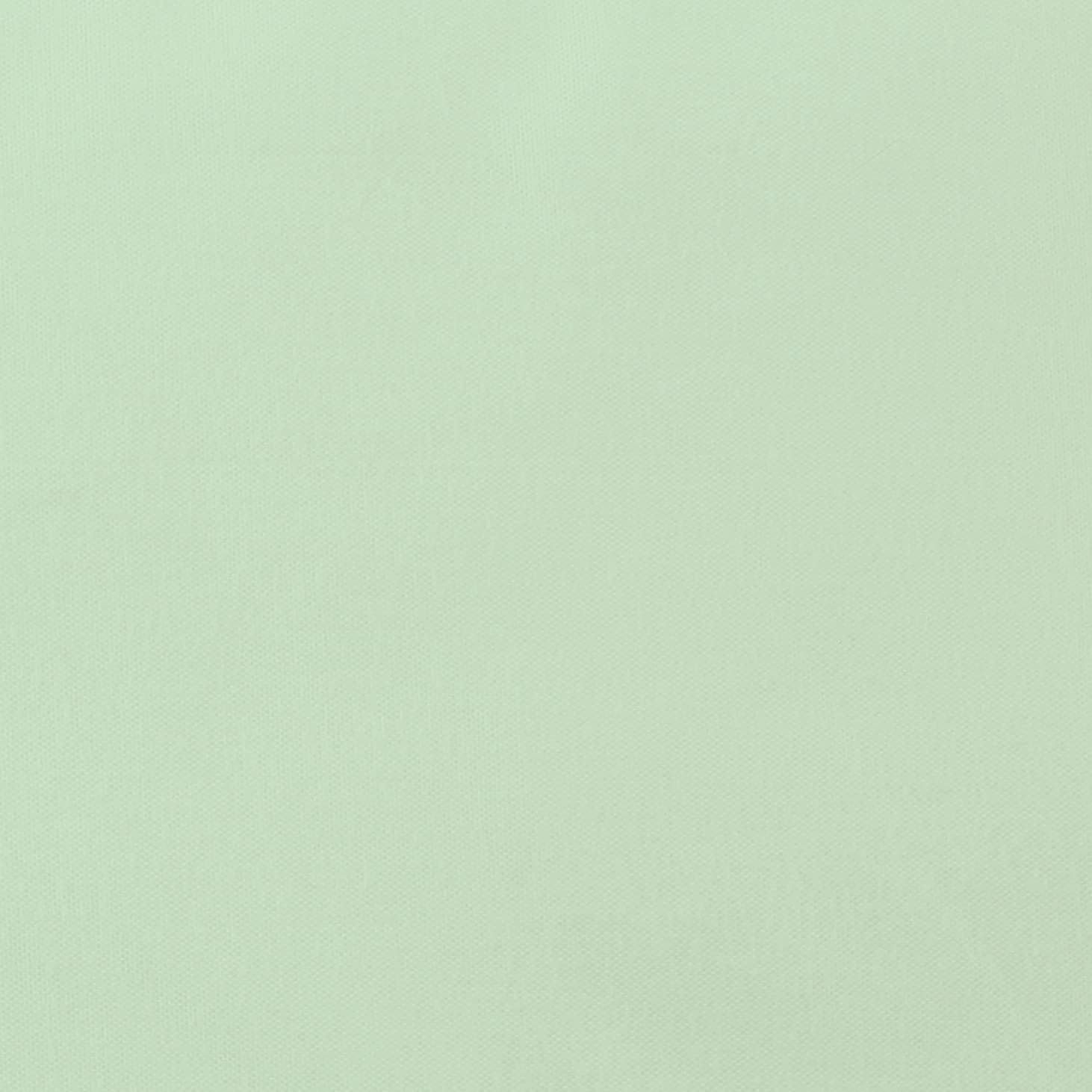 College Covers Everything Comfy Soft Brushed Microfiber Sheet Set, Twin, Fog Green