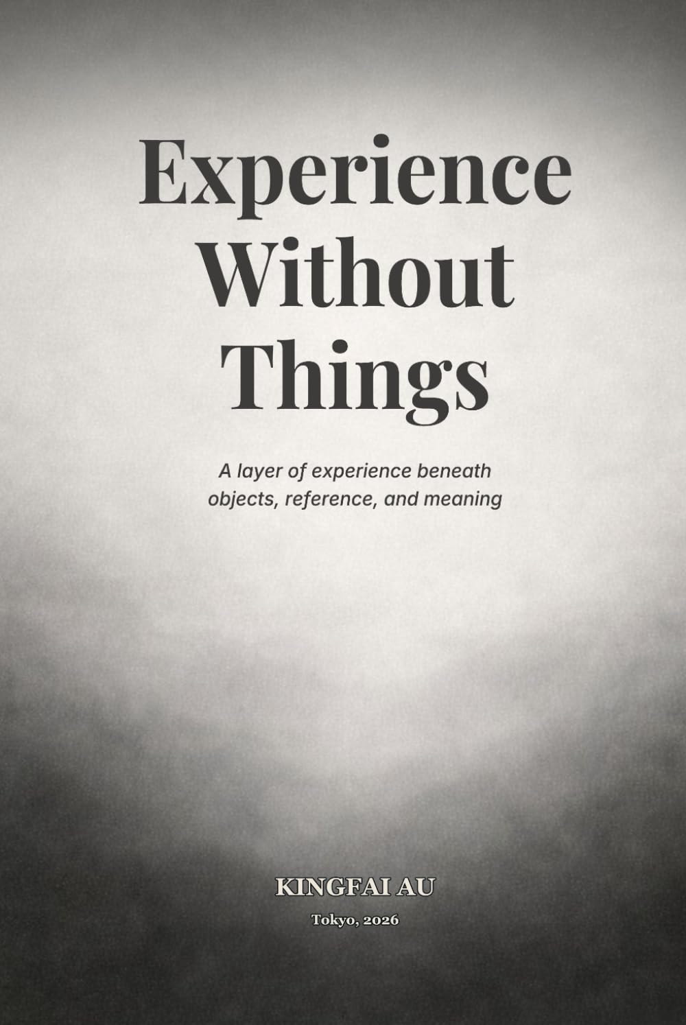 Experience Without Things: A layer of experience beneath objects, reference, and meaning (Before Objects Exist)
