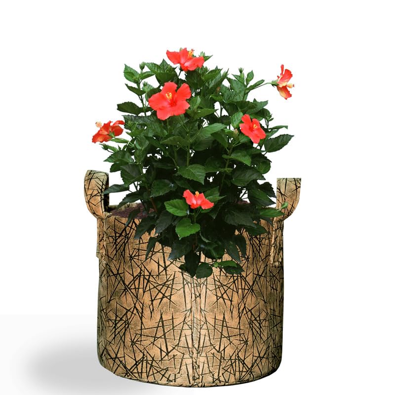 See full amazon price history chart for MetDeals -Grow Bag Pots with Durable Handles & Reinforced Stitching,Heavy Duty 400 GSM Non-Woven Fabric Grow Bags For All Plants & Gardening Accessories| Golden Color-(Width)8 X(Height)6 Inch-1 Piece MetDeals -Grow Bag Pots with Durable Handles & Reinforced Stitching,Heavy Duty 400 GSM Non-Woven Fabric Grow Bags For All Plants & Gardening Accessories| Golden Color-(Width)8 X(Height)6 Inch-1 Piece (B0CKBD6GG9) Amazon Price History, Amazon Price Tracker