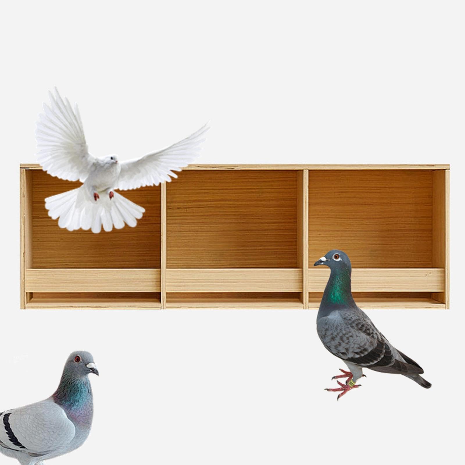 Caja de Cría de Madera para Periquitos, Comedero para Pájaros, Nido de Madera para Palomas, Pinzones, Canarios Y Periquitos, 3 Cuadrículas de 90 Cm X 30 Cm