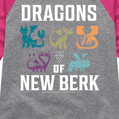 How to Train Your Dragon - Dragons of New Berk - Toddler and Youth Girls Raglan Graphic T-Shirt3