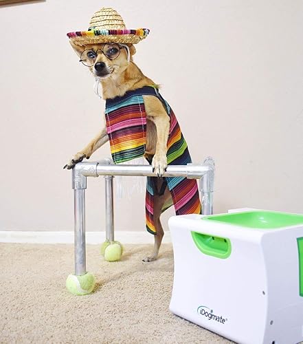 Miniatura 4 de Pequeño lanzador de bolas interactivo con recargable, lanzador automático de bolas para perros pequeños (máquina pequeña con 3 bolas)