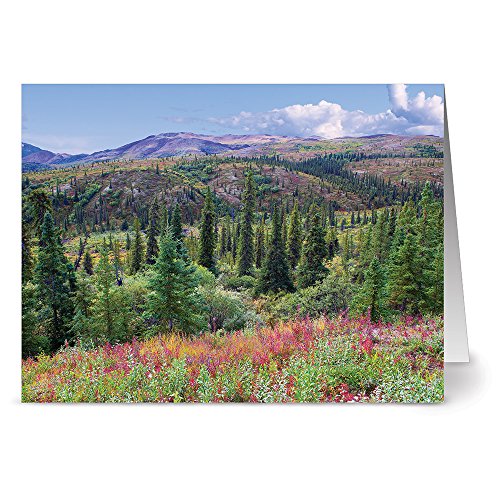 Note Card Cafe All Occasion Greeting Card Set With Envelopes | 72 Pack | Blank Inside, Glossy Finish | 6 Scenic America Designs| Bulk Set For Greeting Cards, Occasions, Birthdays #TOP1