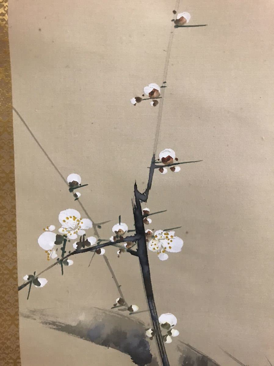 Amazon.co.jp: 井出岳水掛軸掛け軸日本画仏画四君子松竹梅 303