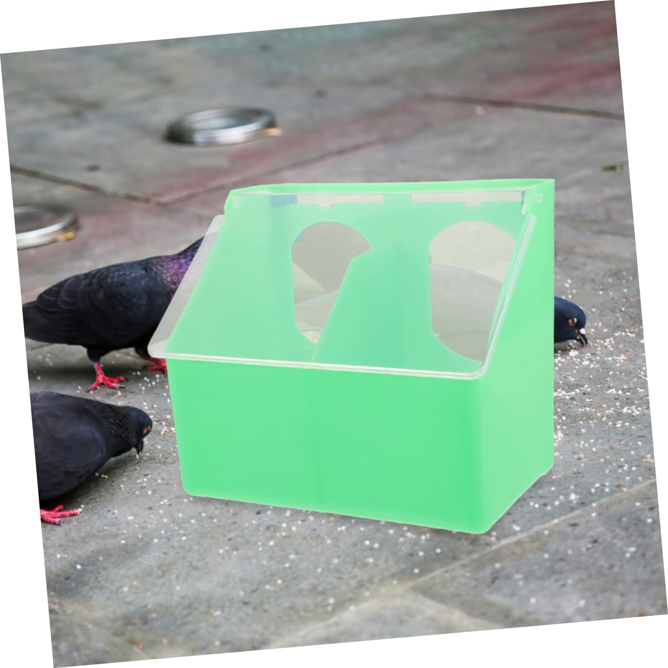 Comedero Colgante Multifuncional de Plástico Verde 3 Piezas | Jaula de Pájaros, Diseño de Doble Orificio Tapa, Apto para Aves Pequeñas, Resistente al Desgaste