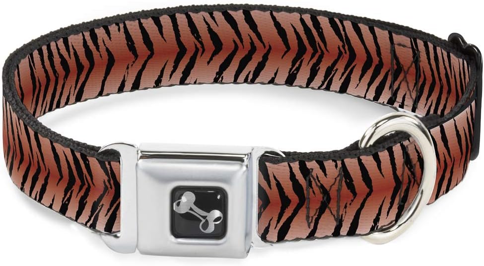 Buckle-Down Dog Collar Seatbelt Buckle Tiger, Multicolor, 1" Wide - Fits 15-26" Neck - Large (DC-W32027-L)