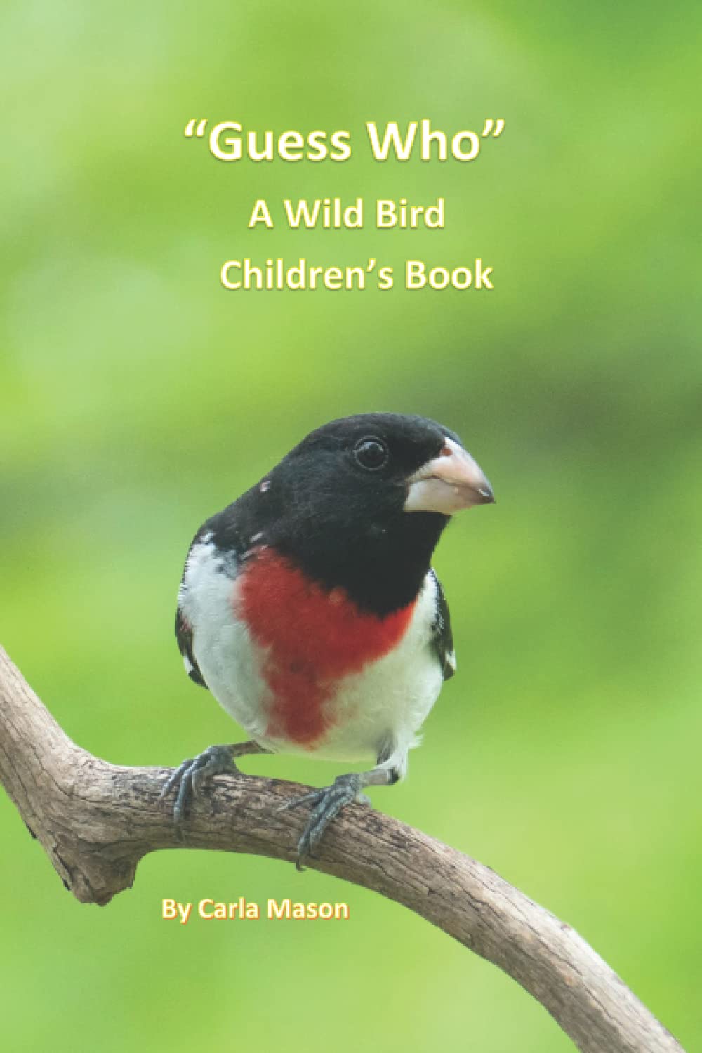 The Wild Bird "Guess Who" Book