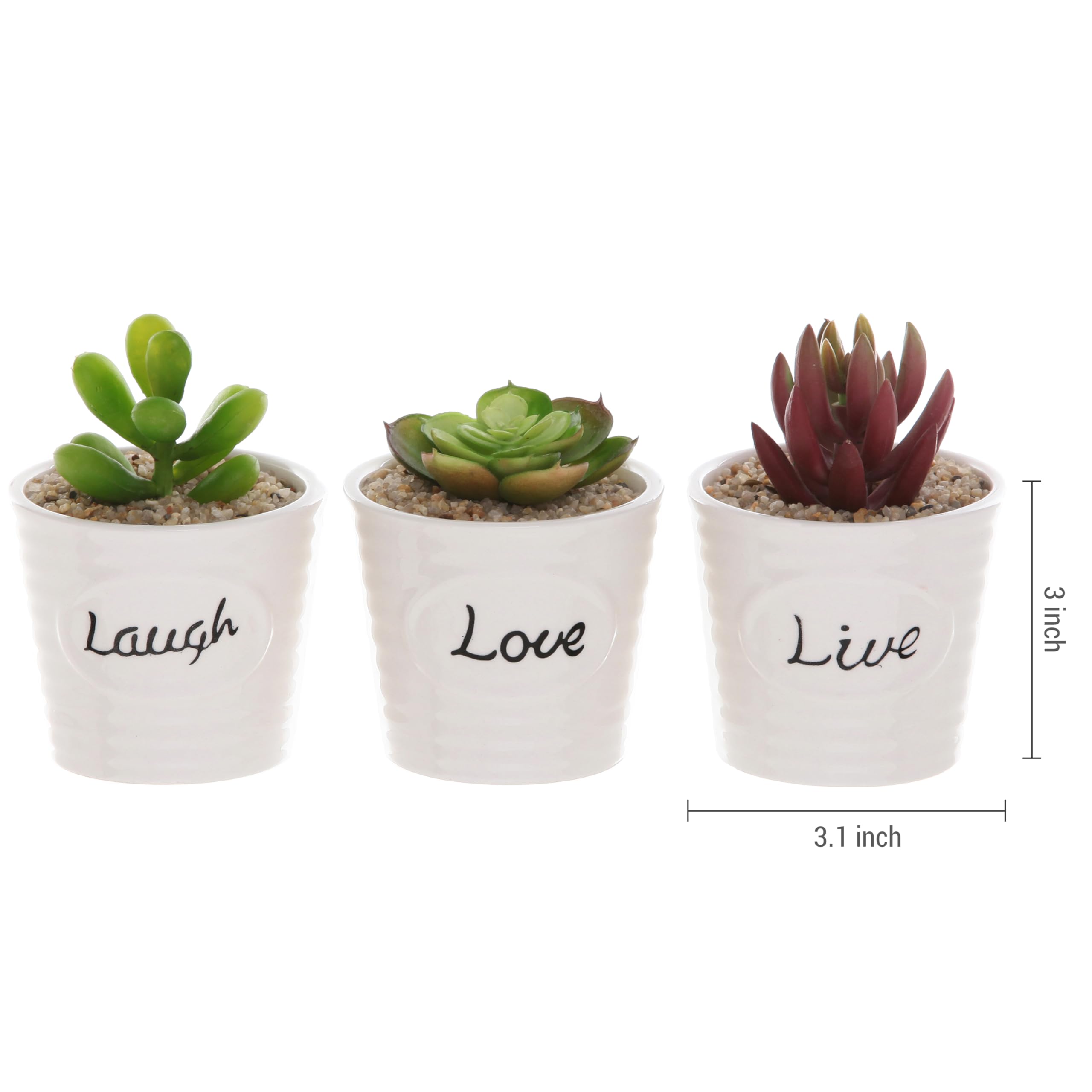 Amazon.com: MyGift 3-Inch Small White Ceramic Planter Pot with