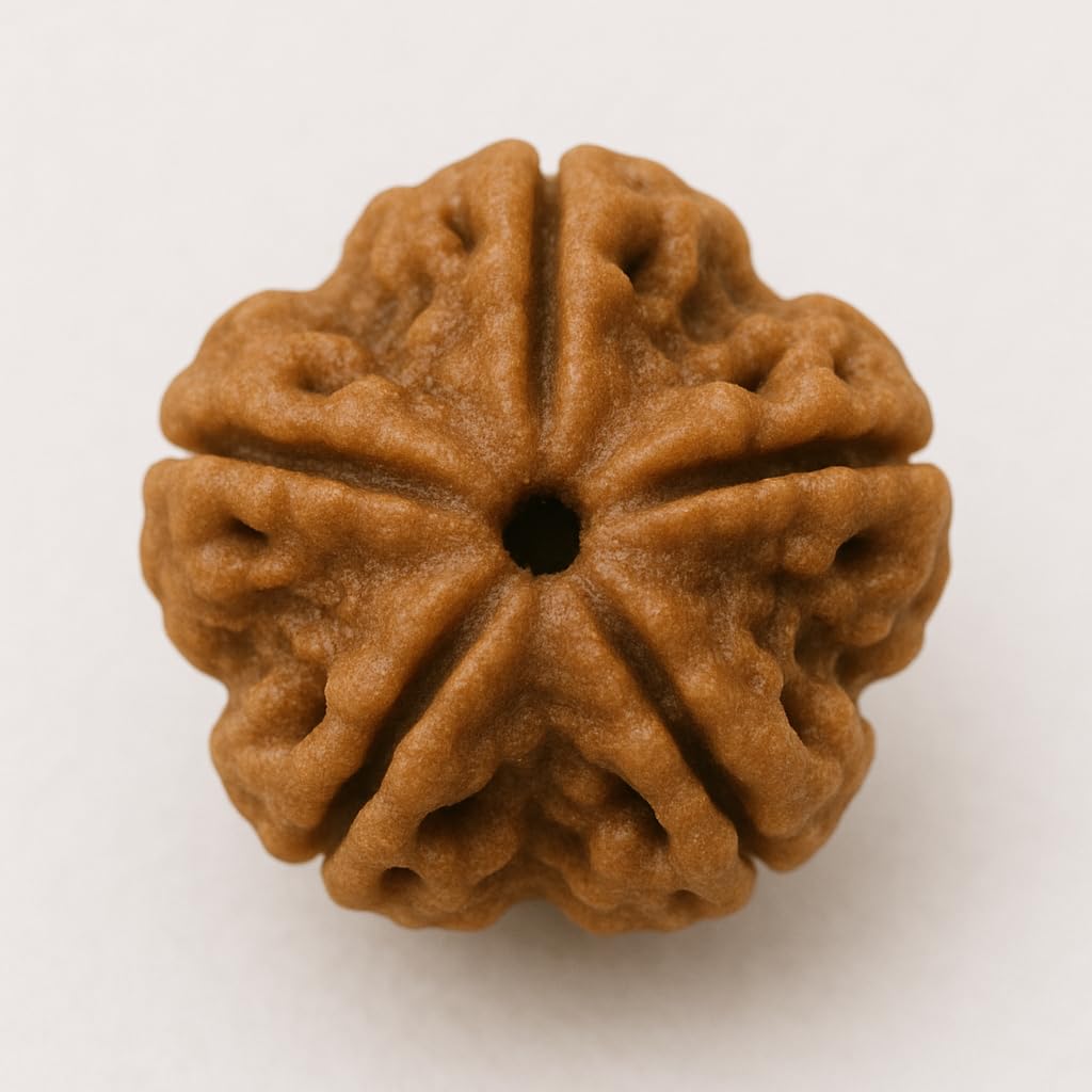 5 face Nepal rudraksha-image-25