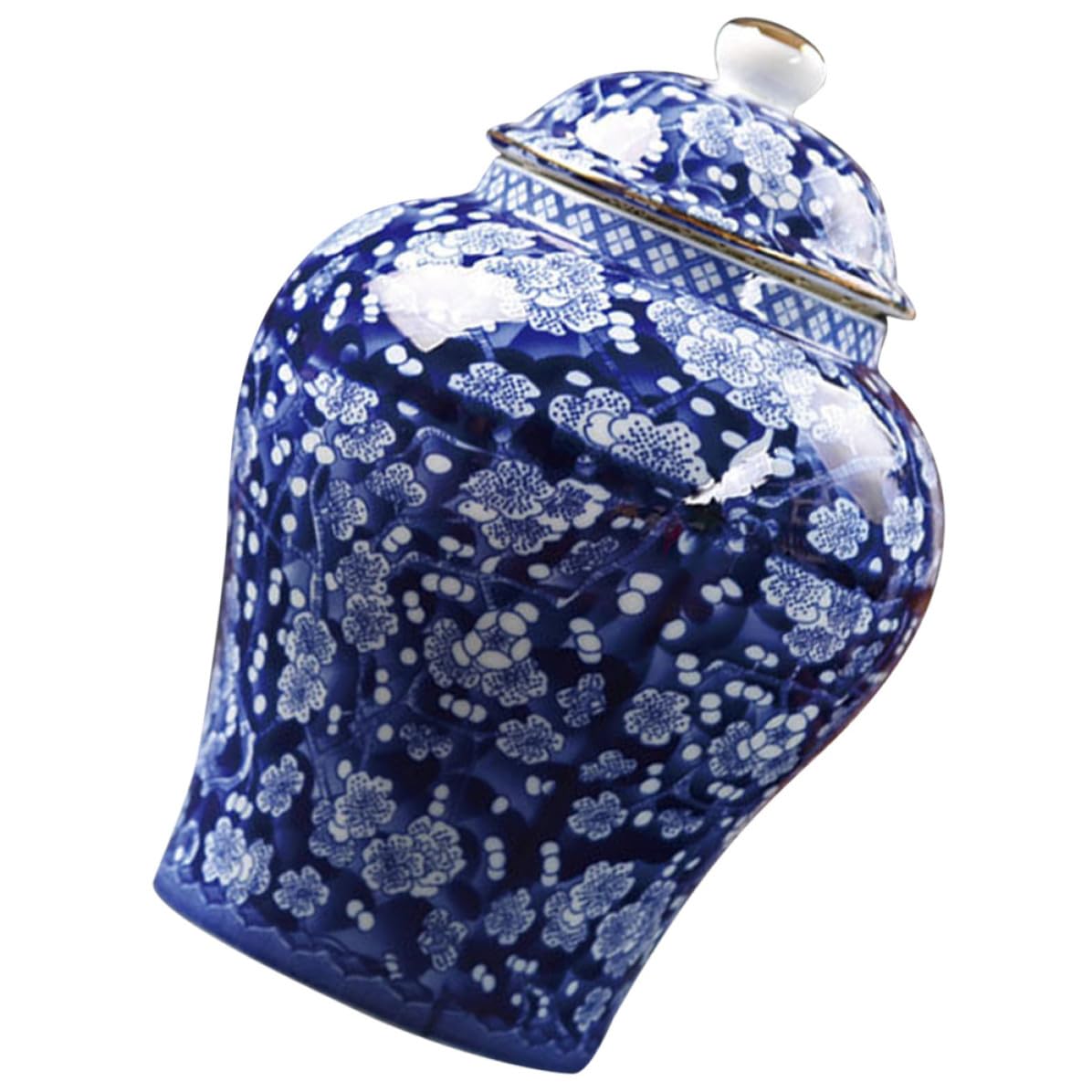 Abaodam Vintage Keramik Teedose im Chinesischen Stil 330 Ml