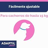 Ver la foto 5
