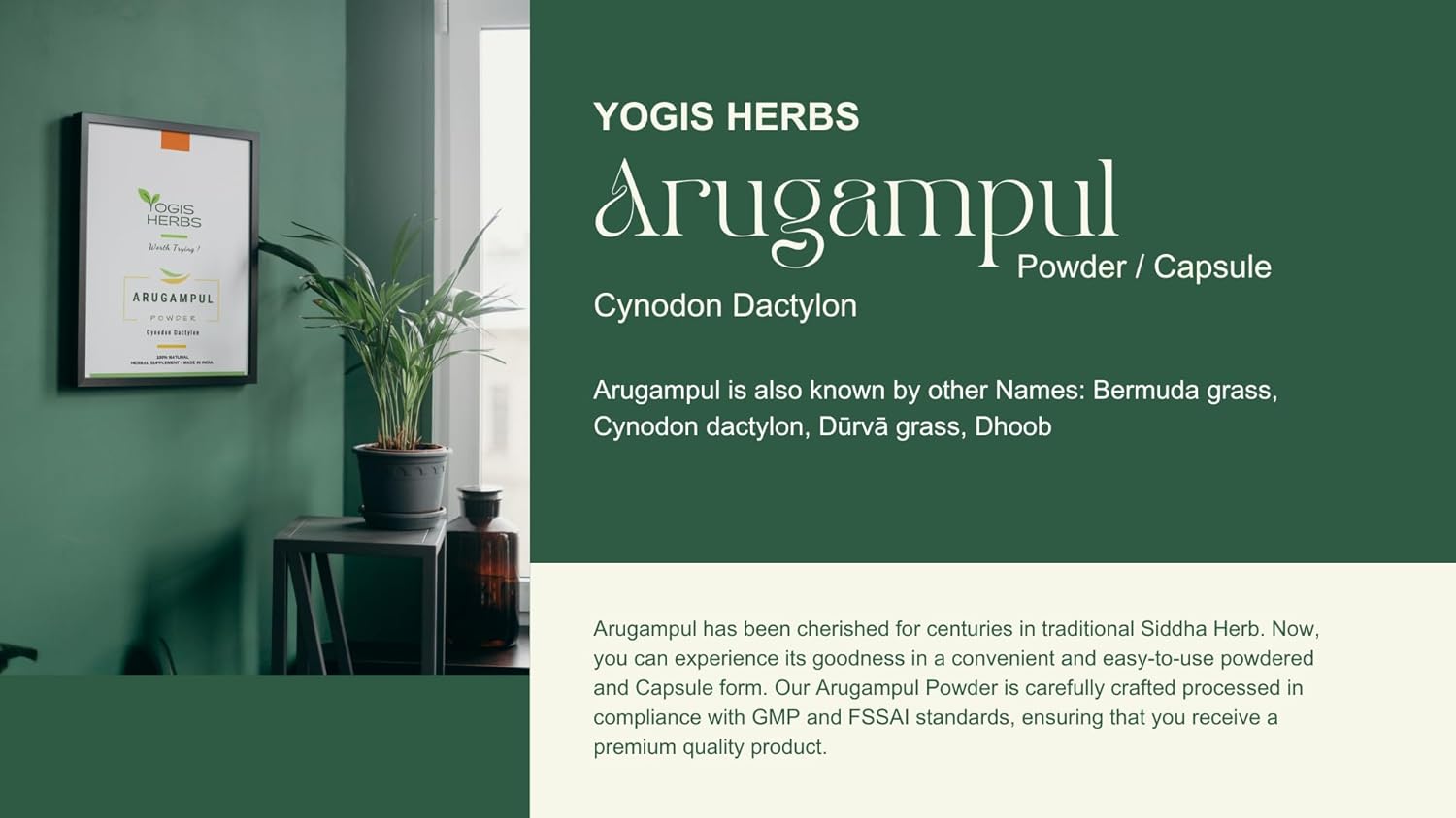YOGIS HERBS Arugampul Powder - Bermuda Grass Powder - Cynodon Dactylon -1Lbfresh & Pure 1 Pound (Pack of 1)