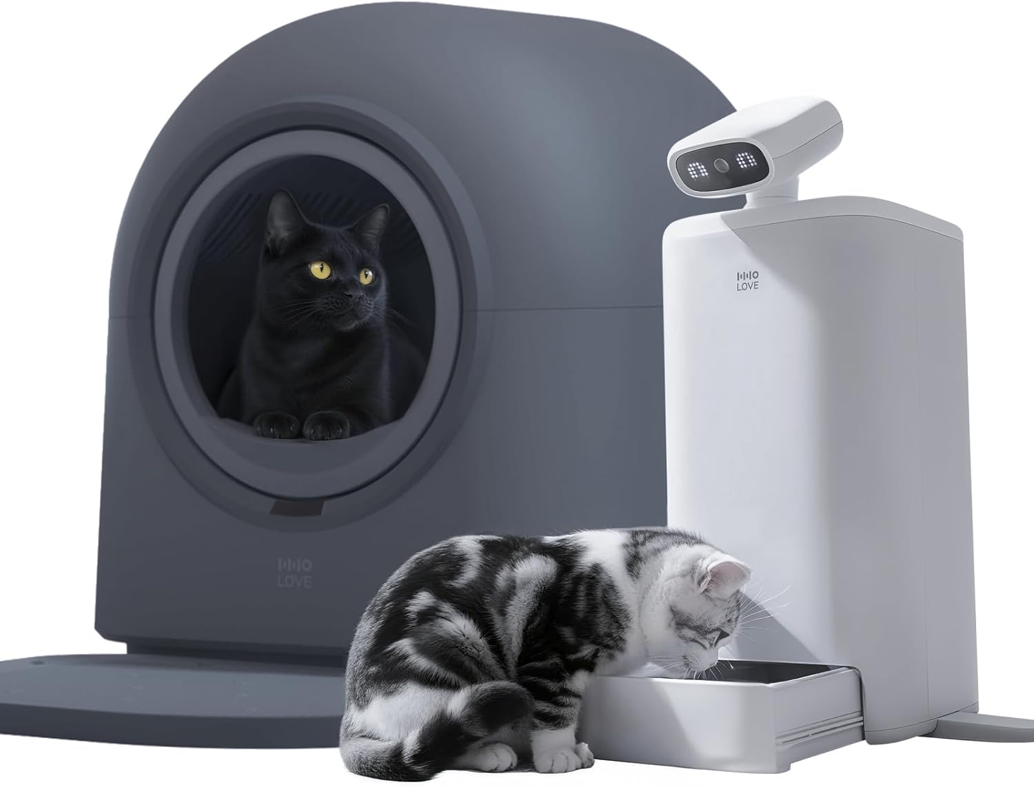 TYPRO Self Cleaning Cat Litter Box and Automatic Cat Feeder O Stter