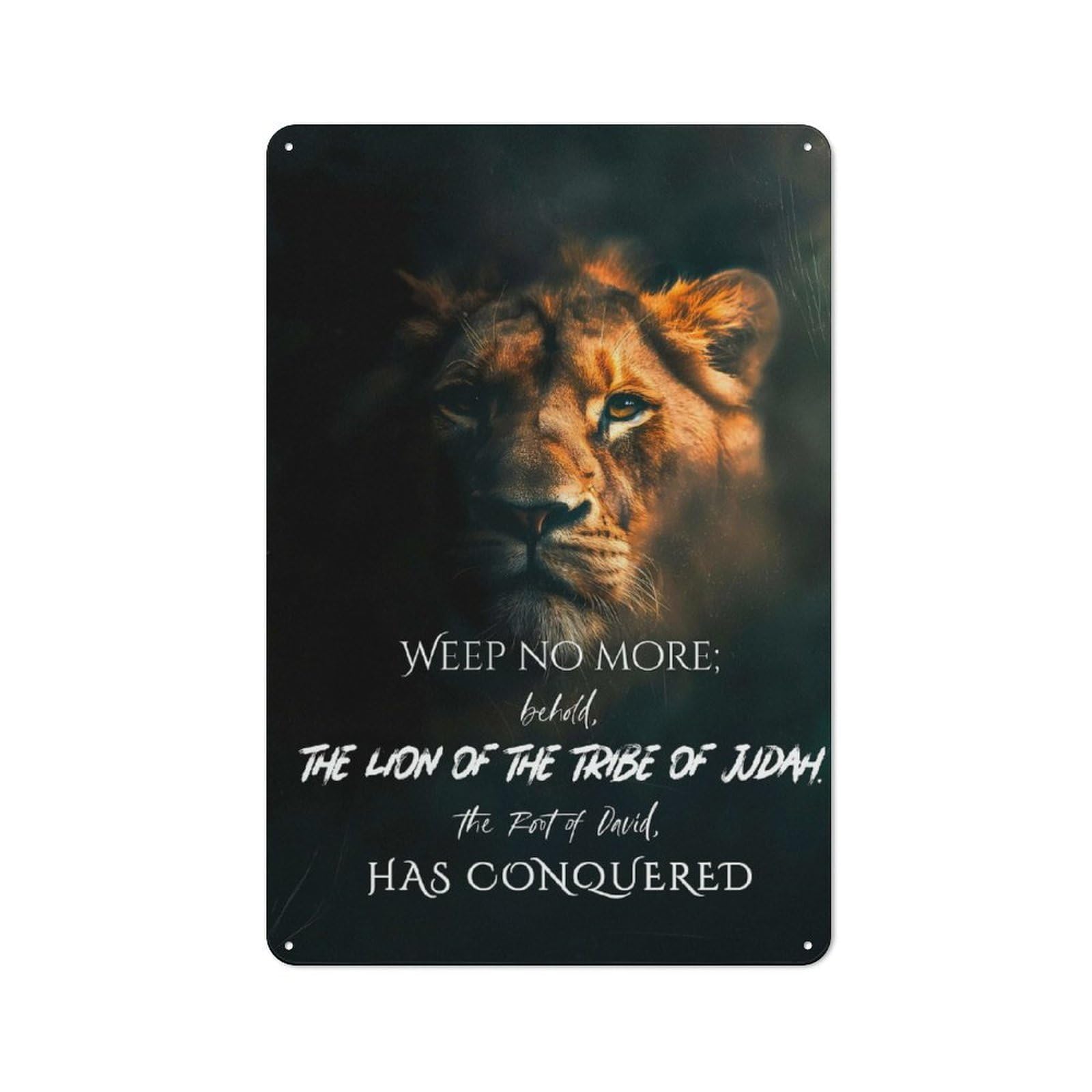 Junmoney Lion Of Judah Conquered Tin Wall Plaque 30X20cm With For Hobby Room Or Studio, For Metal Sign Collectors, For Kitchen And Home Bar Decor