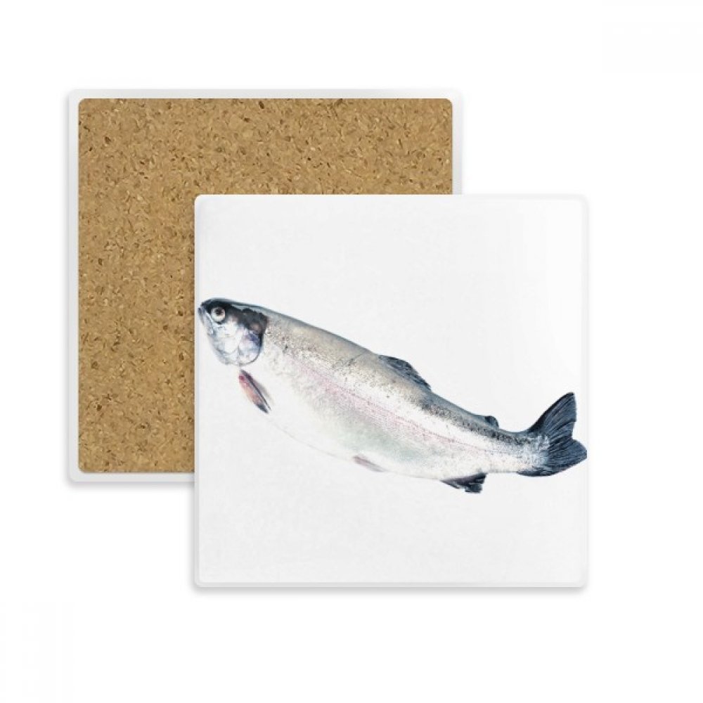 Porte tasse absorbant poisson océan en pierre naturelle multicolor