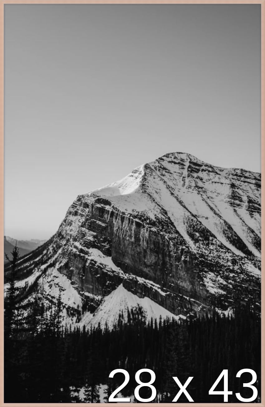 Frame It Easy 28 1/2 x 43 Satin Black Metal Frame (Ashford) 28.5x43 inches
