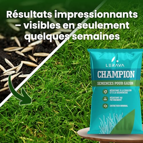 Semences de gazon premium pour aménager un jardin familial durable - 5