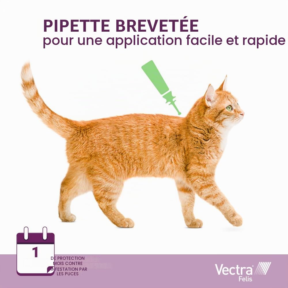 Vectra Felis Antiparasitaire pour Chats, 3 pipettes Anti-puces en Solution Spot-on pour Chatons et Chats Adultes, Traitement et prévention des puces Chat