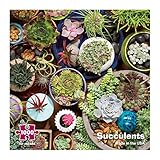 Re-Marks Succulents Cactus Plants 1000 Piece Puzzle Made in USA