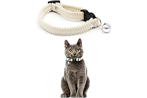 Crescent-Embroidered Velvet Cat Collar