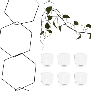 Trellis for Climbing Plants, 18Piece DIY Support Set with Hexagonal Connect-Hooks, Indoor & Outdoor Plant Wall Trellis for Ivy, Pothos, Hoya – Garden Decor & Plant Climber Accessories