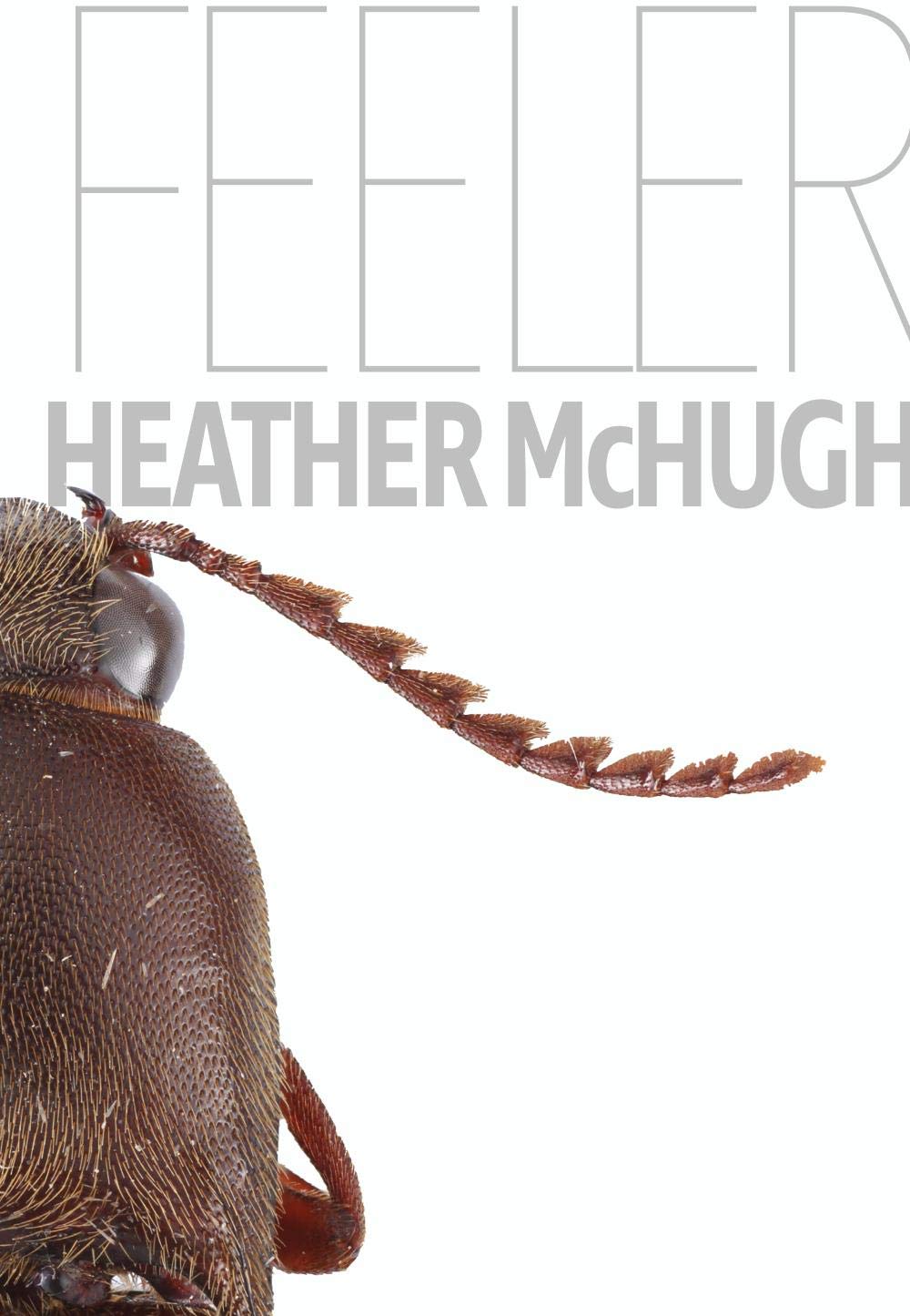 Buy Feeler (Quarternote Chapbook Series) — BookShops.in