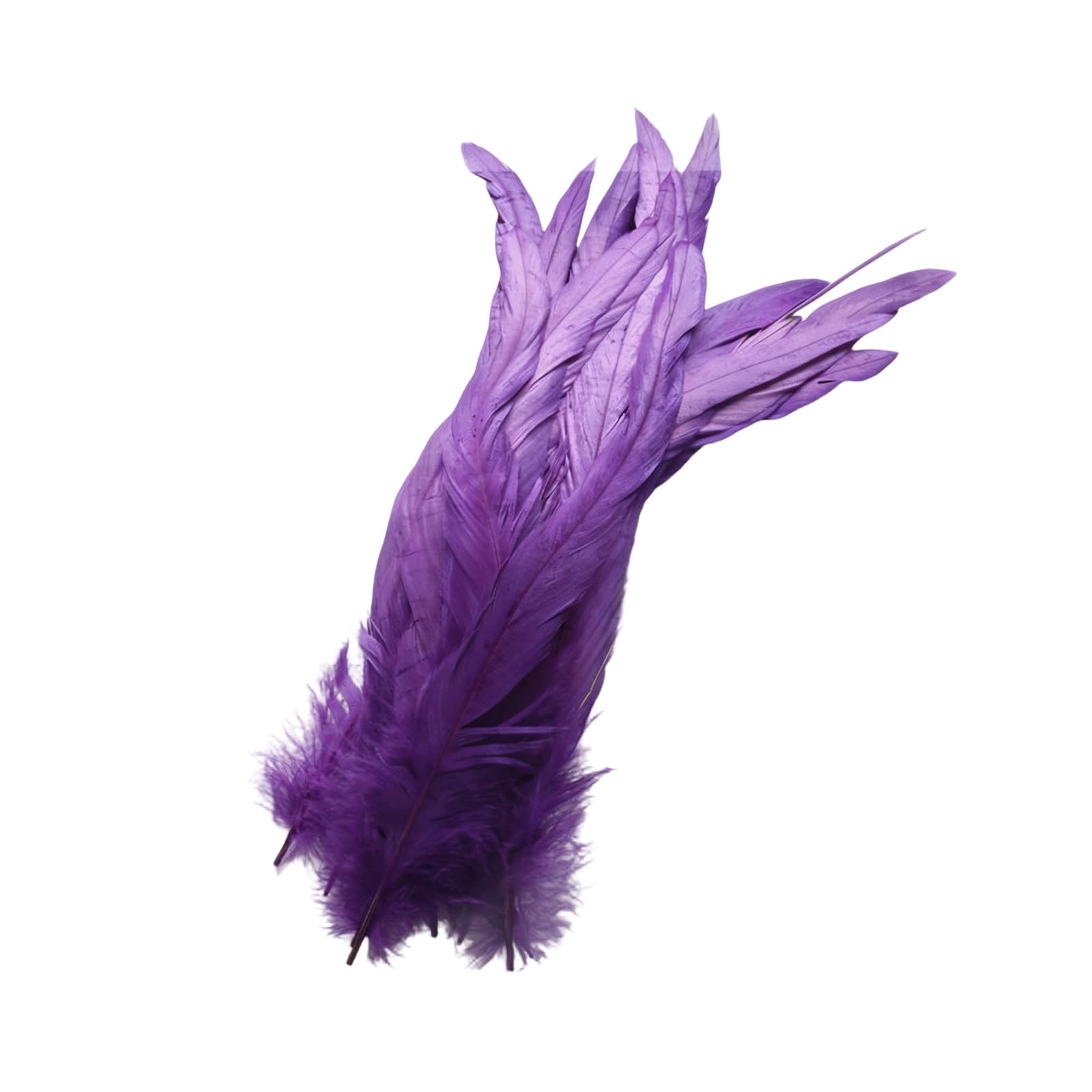 NRVTRE 40Pcs Decorative Plumage 25 30Cm for Professional Costume Making and Art Quills for Crafting