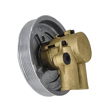 Amazon.com: Manioiity 21212794 Sea Water Pump 3852519