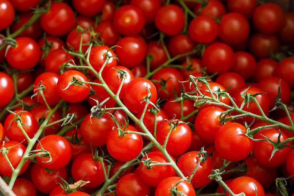 Buy4seeds 40 Seeds Piccolo Red Cherry Tomato Seeds Sweet Juicy Delicious Cherry Tomatos Easy for Grow Garden