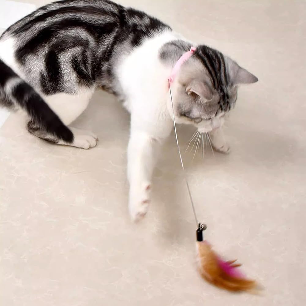 Amazon | YBGGJO 猫おもちゃ 猫じゃらし 2点セット ねこ玩具 天然鳥の 