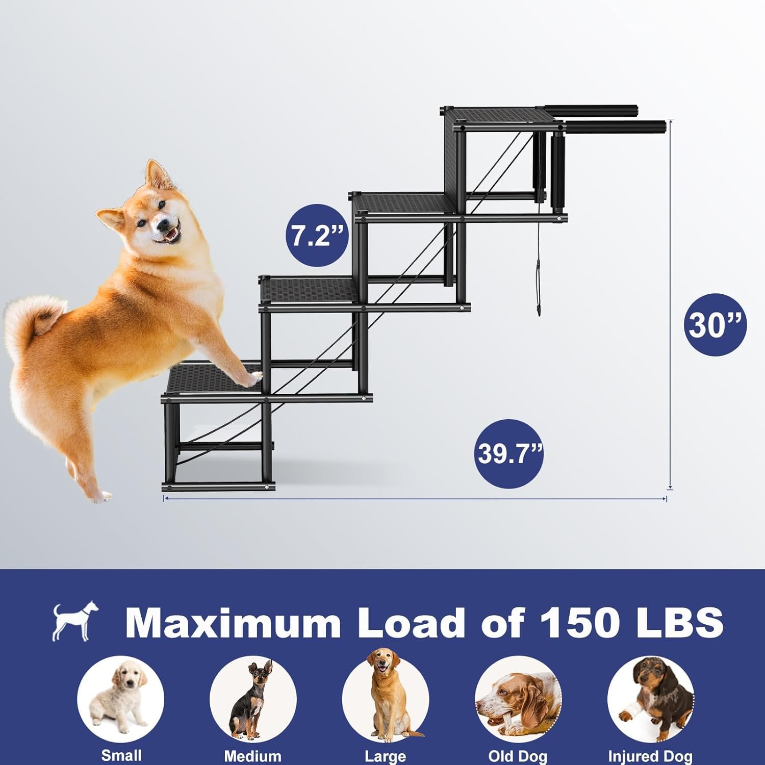 HEYOUTH Rampe pour Chien, Escalier pour Chien, Charge maximale : 80 kg, Pliable, Antidérapante, Pour Camion, Lit, Voiture, SUV, Pour Grands et Petits Animaux