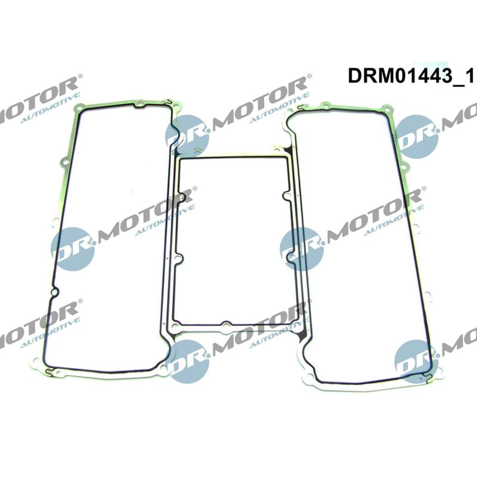 DR.MOTOR AUTOMOTIVE DRM01443 Junta colector de admisión Compatible con LAND ROVER Range Rover Sport L320, JAGUAR XF J05, CC9