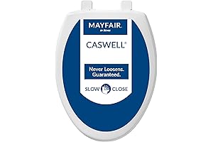 Caswell Modern Toilet Seat: The Glacier Bay of Toilet Seats
