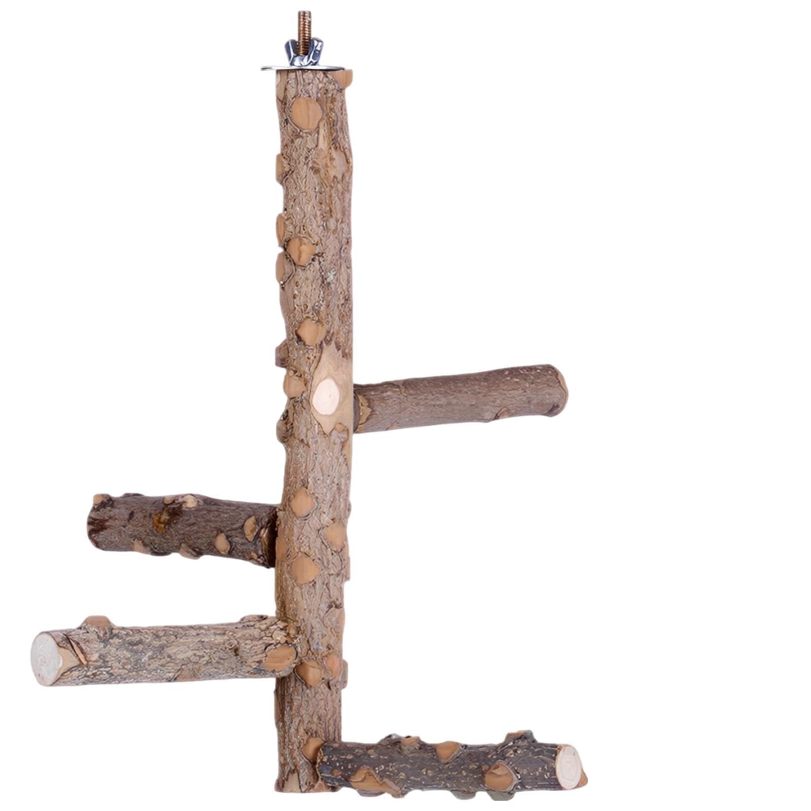 Holz-Vogel-Sitzstange, 25 cm hohe Aktivstange für kleine und mittelgroße Papageien, Knabberspielzeug aus Naturholz zum Ruhen und Bewegen im Käfig, inklusive 5 Schrauben