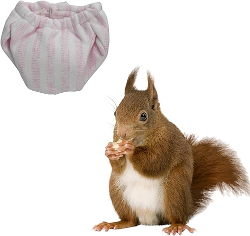 Miniatura 10 de Pañales lavables de ardilla – Pañales de tela reutilizables extra pequeños para mascotas, altamente absorbentes, a prueba de fugas, pantalones