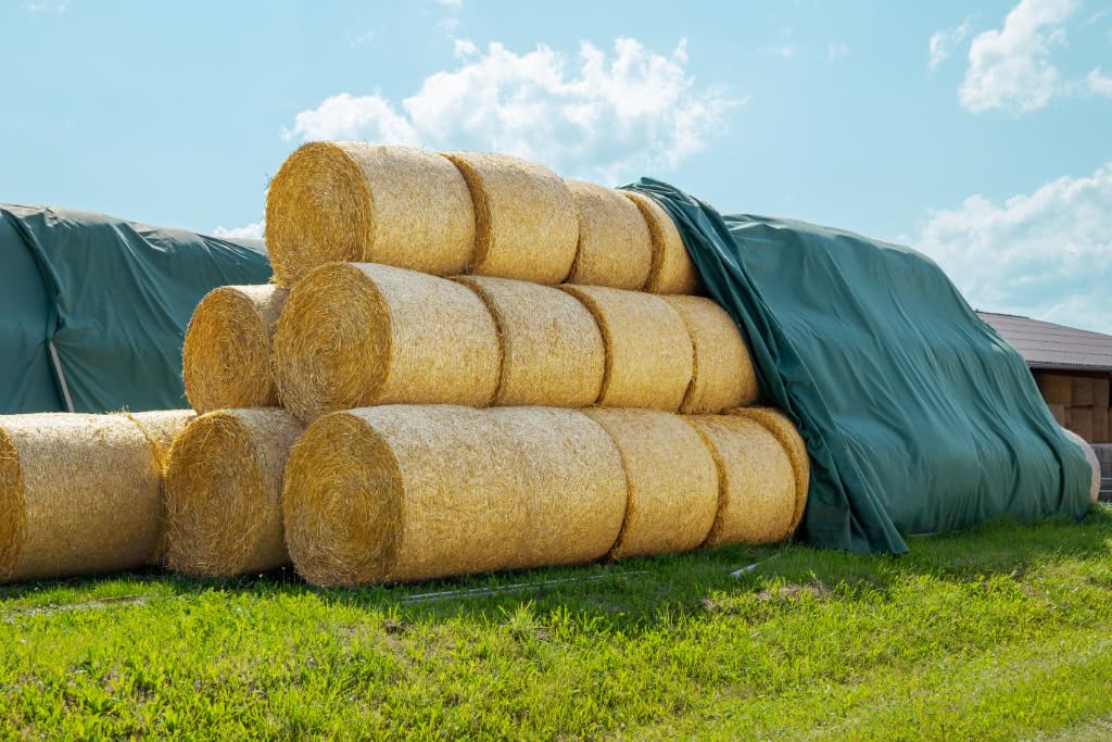 Telo di copertura AGRIplus 9,8 x 12,50 m 122,5 m² Estremamente Resistente agli Strappi Resistente ai Raggi UV permeabile all'acqua