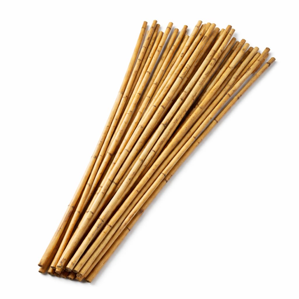AKADIL Natural Bamboo Plant Stakes – Strong Support Stakes for Tomato & Bean, Climbing Plants Aid, Garden Bamboo Canes, Plant Supports for Outdoor Plants (2ft (Pack of 10))